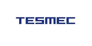 tesmec-microsoft-dynamics-365-erp