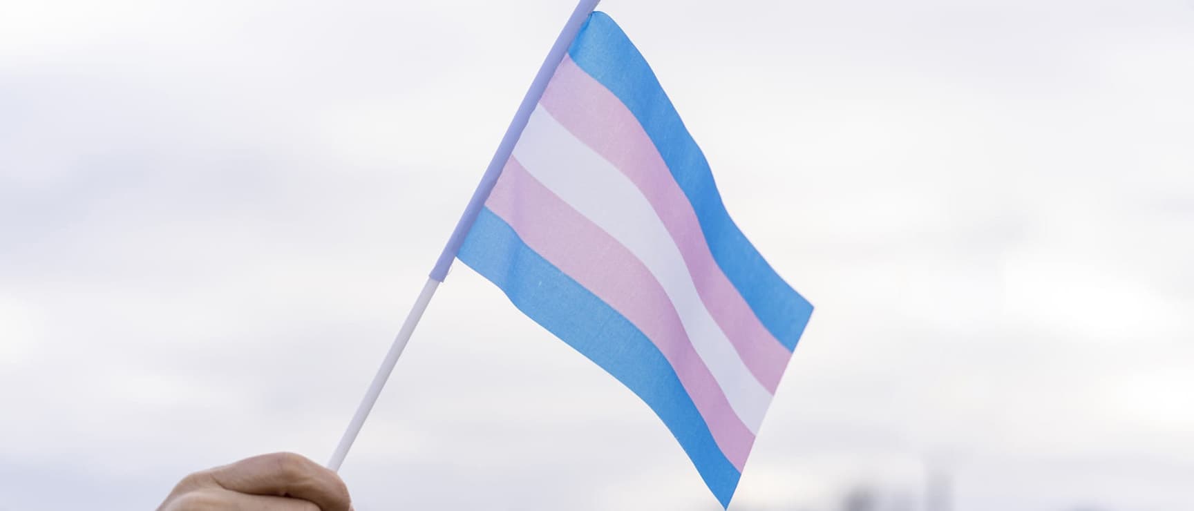 reflection-trans-day-visibility-1728X740.jpg